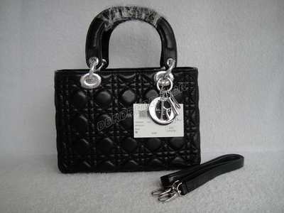 Christian Dior Handbag-2010hei_57