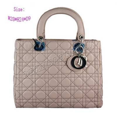 Christian Dior Handbag-9928feny_94