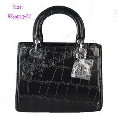 Christian Dior Handbag-9926heistw_102