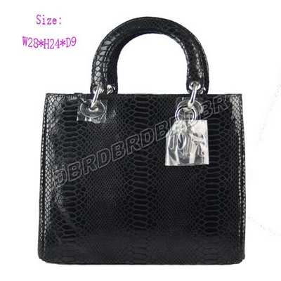 Christian Dior Handbag-9928heimansw_112