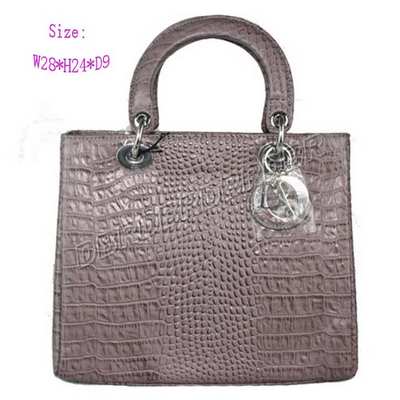 Christian Dior Handbag-9928huiEyw_113