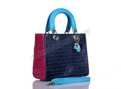 Christian Dior Handbag-6322pinse_353