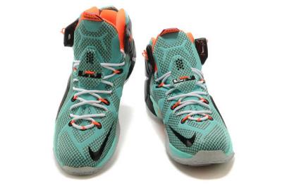 Cheap LeBrone James XII basketball shoes wholesale No. 508