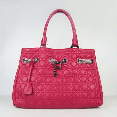 Christian Dior Handbag-1833ho_78