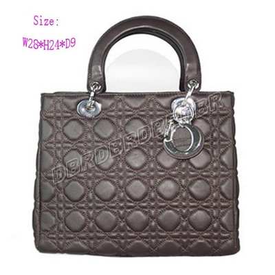 Christian Dior Handbag-9928feiy_95