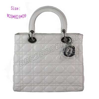 Christian Dior Handbag-9928baig_108