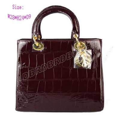 Christian Dior Handbag-9928jiuhostw_110