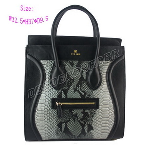 Celine Handbag-91069huisw_1