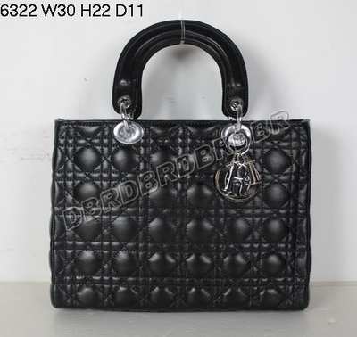 Christian Dior Handbag-6322heiyy_148