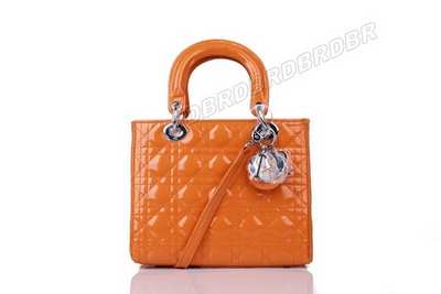 Christian Dior Handbag-6322cheng_407